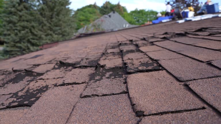 Fast & Reliable Emergency Roof Repairs in Schuyler, NE