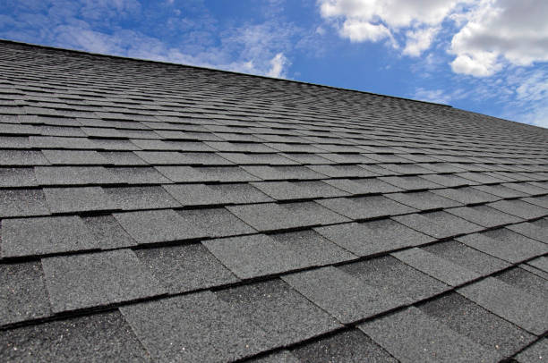 Best Roof Insulation Installation  in Schuyler, NE